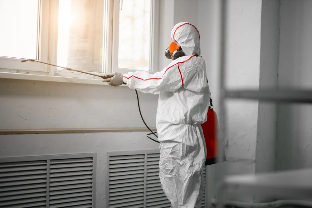 Professional mold remediation services in Derry, NH